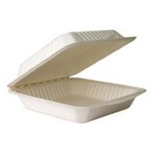 Clam Shell Container