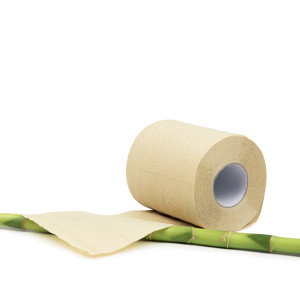 Private Label Unbleached Bathroom Tissue Single Roll